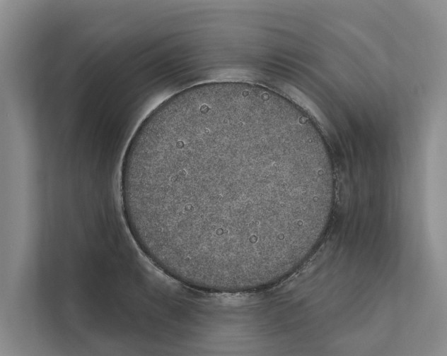 X0000110861087200907161352