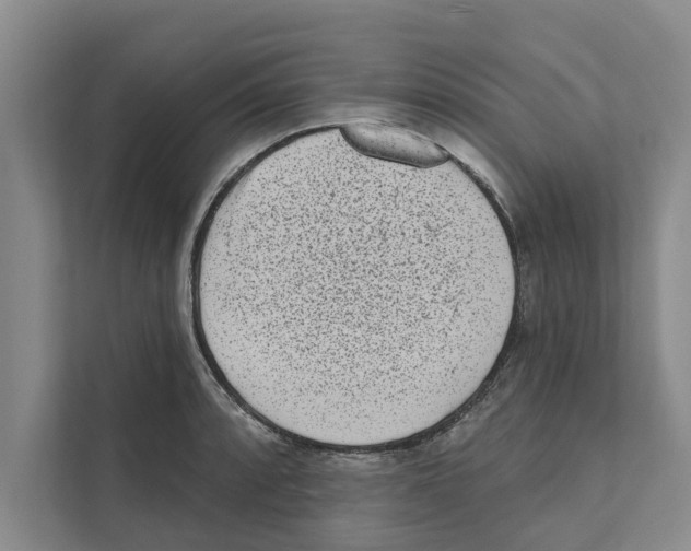 X0000110861088200907161352