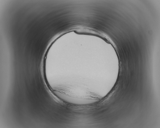 X0000110861098200907161351