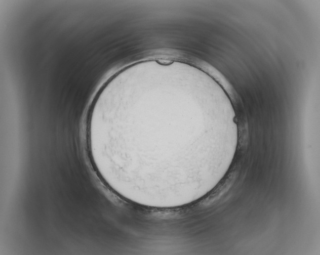 X0000110861099200907161351