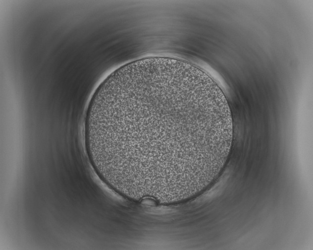 X0000110861100200907161351