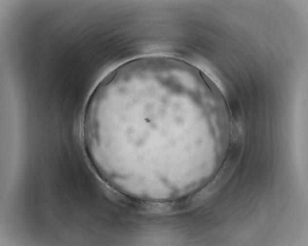 X0000110861101200907161351
