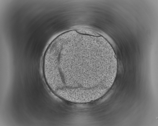 X0000110861102200907161351