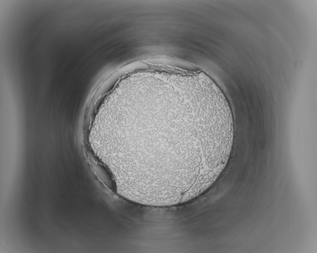 X0000110861104200907161351