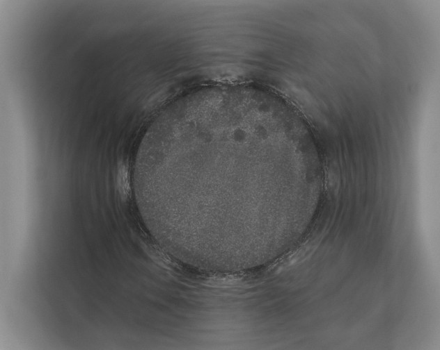 X0000110861106200907161351