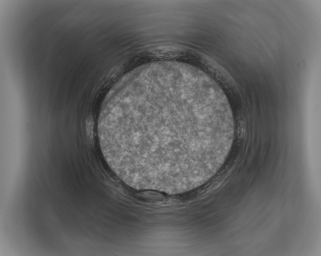 X0000110861108200907161351