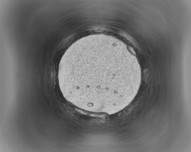 X0000110861111200907161351
