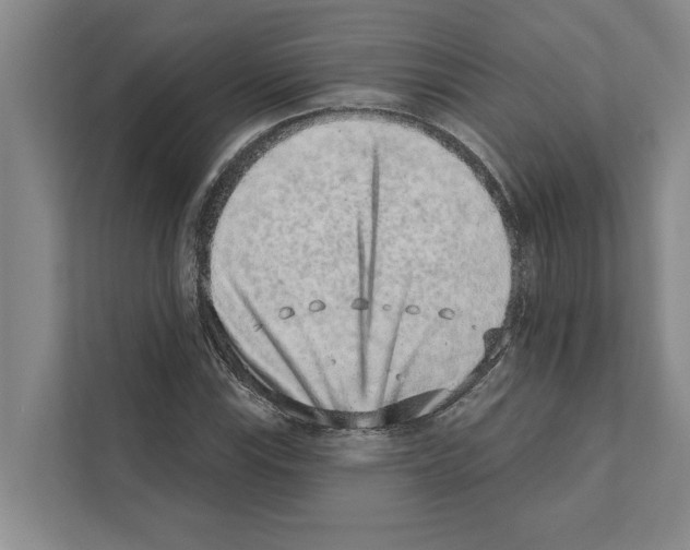 X0000110861115200907161351