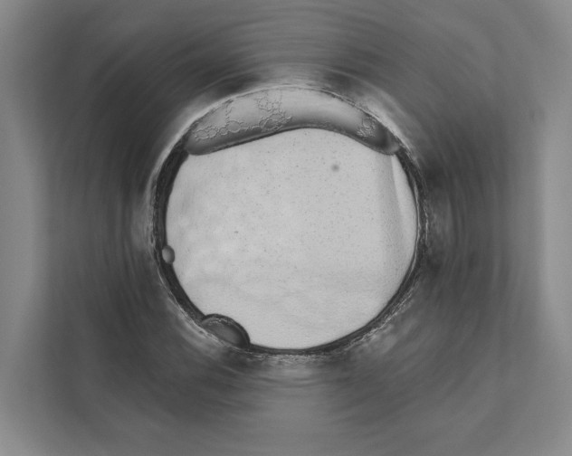 X0000110861116200907161351