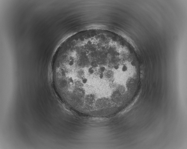 X0000110861117200907161351