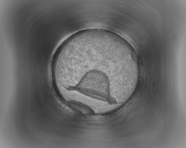 X0000110861120200907161351