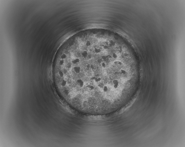 X0000110861121200907161351