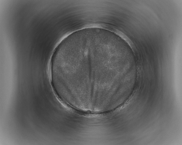X0000110861127200907161351