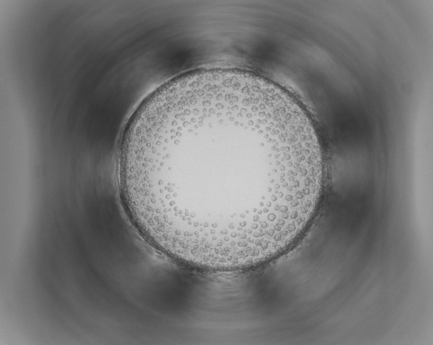 X0000110861130200907161351