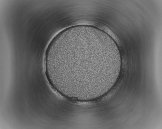 X0000110861132200907161351