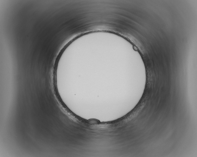X0000110861134200907161351