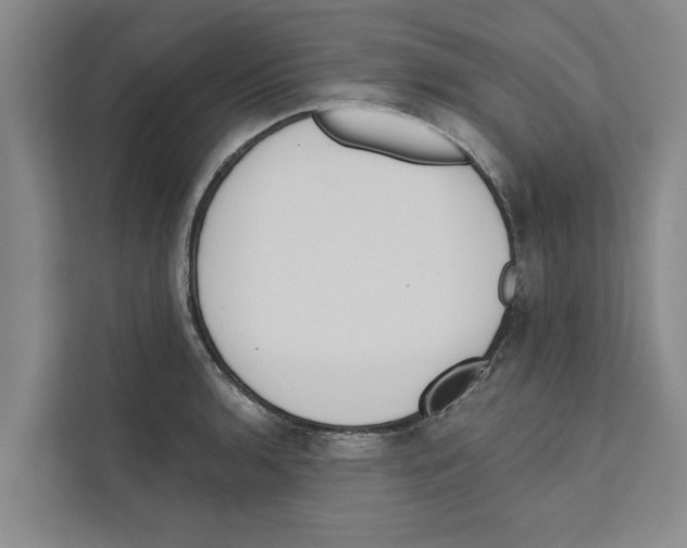 X0000110861136200907161351