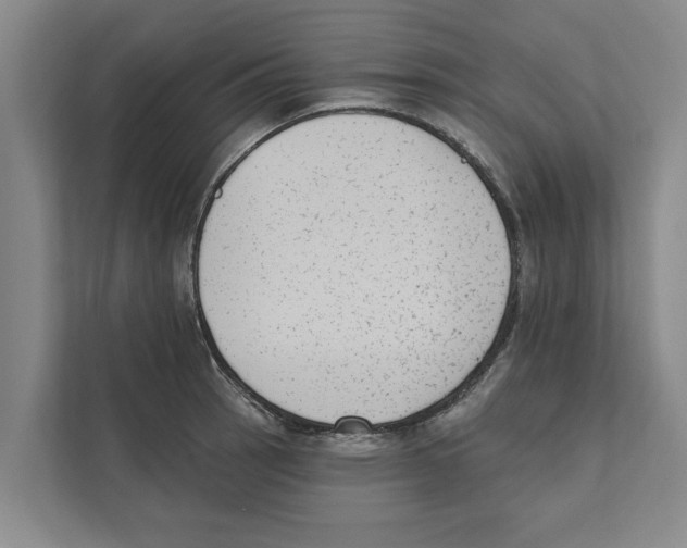 X0000110861137200907161351