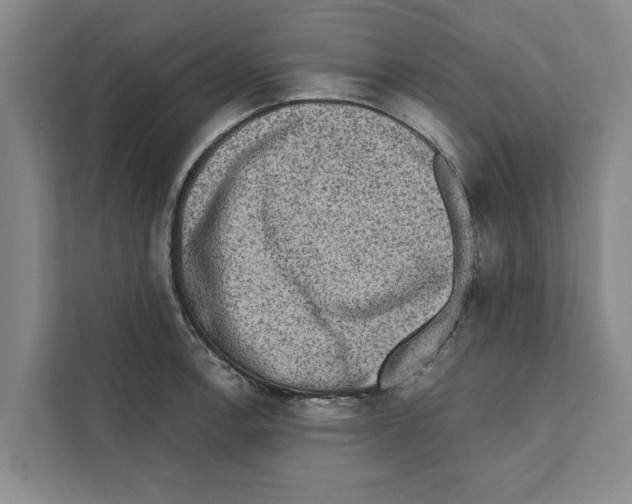 X0000110861138200907161351