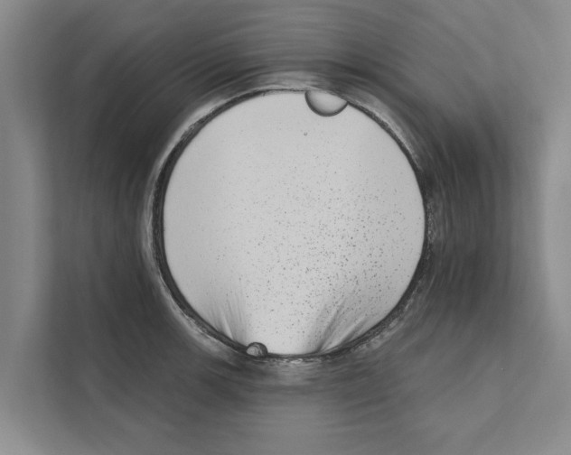 X0000110861139200907161351
