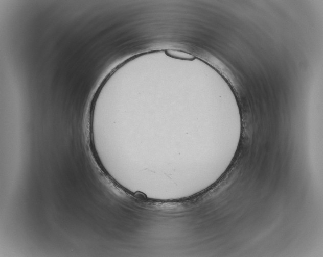 X0000110861140200907161351