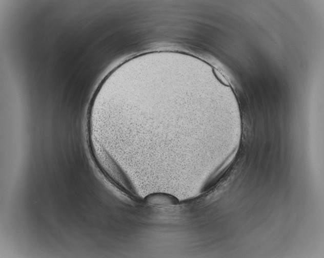 X0000110861142200907161351