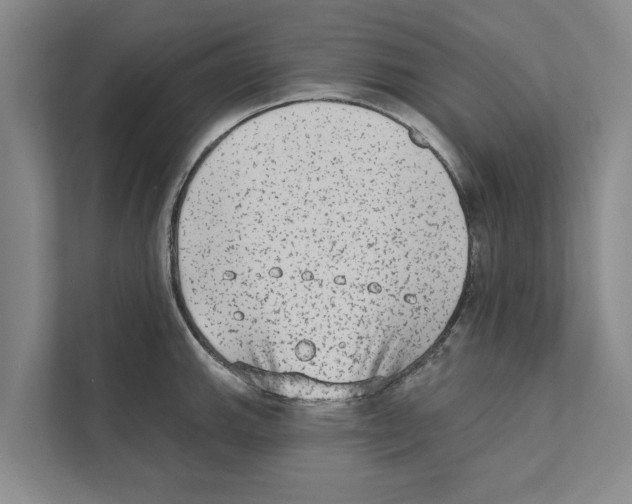 X0000110861143200907161351