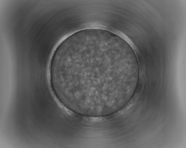 X0000110861144200907161351