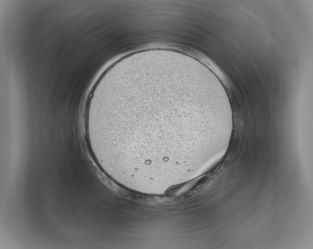 X0000110861148200907161351