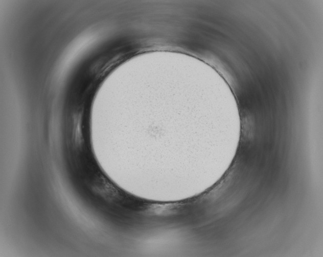 X0000110861150200907161351