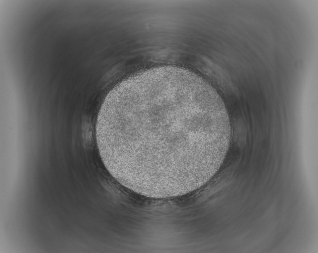 X0000110861154200907161351