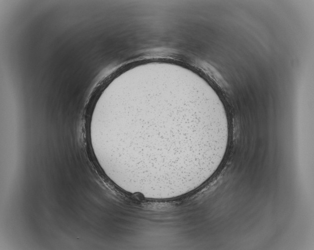 X0000110861164200907161351