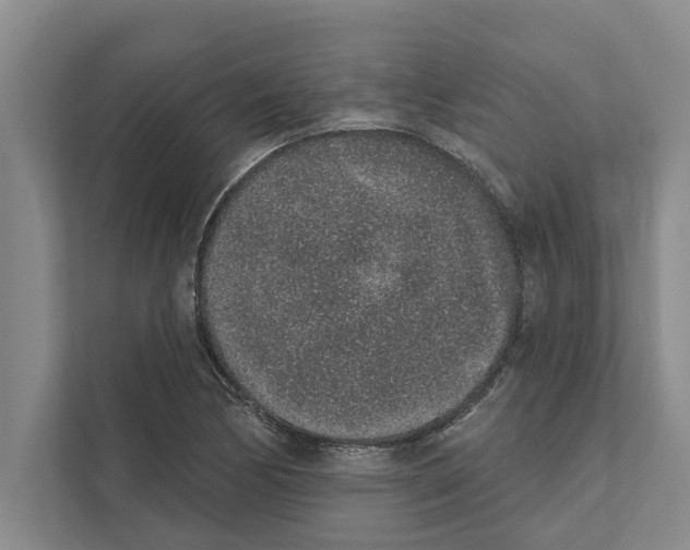 X0000110861170200907161350