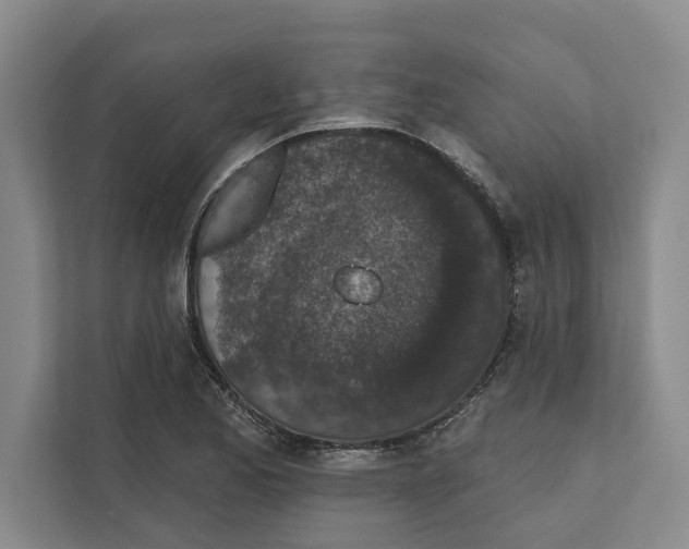 X0000110861173200907161350