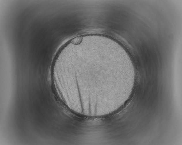 X0000110861174200907161350