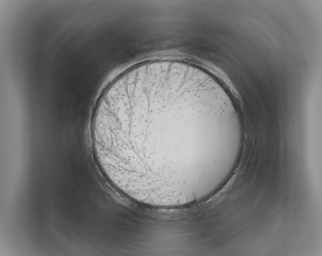 X0000110861176200907161350