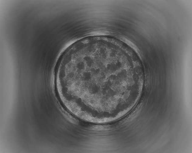 X0000110861179200907161350