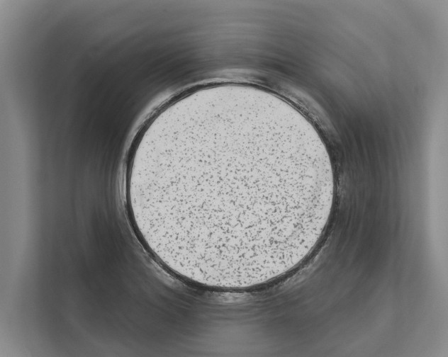 X0000110861180200907161350