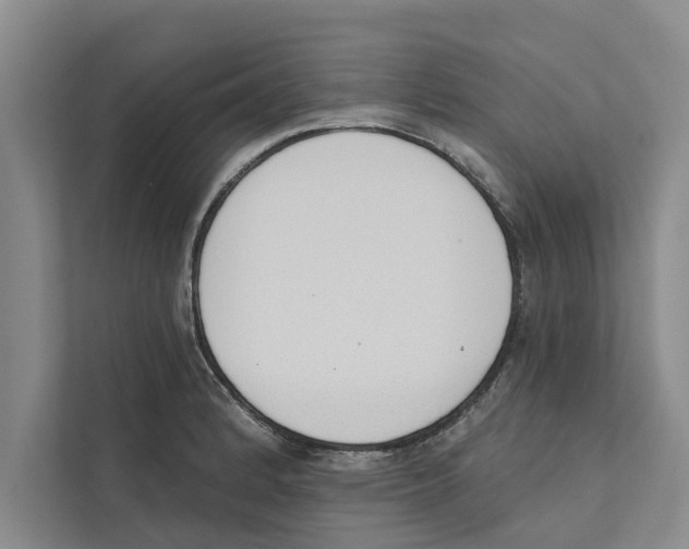 X0000110861184200907161350
