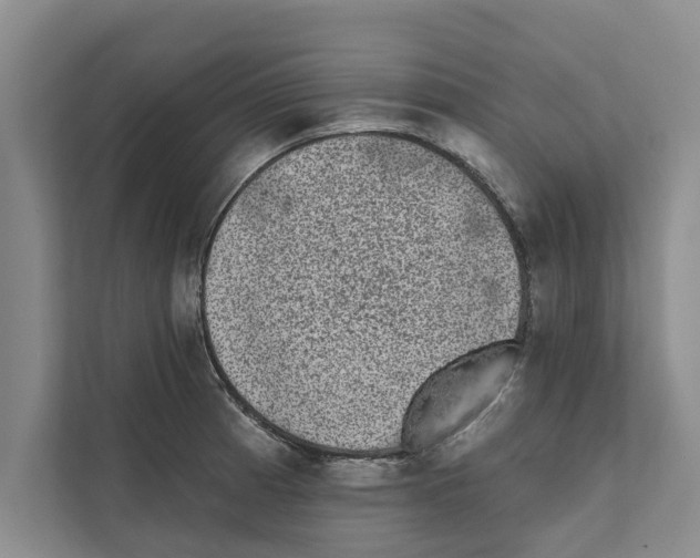 X0000110861185200907161350