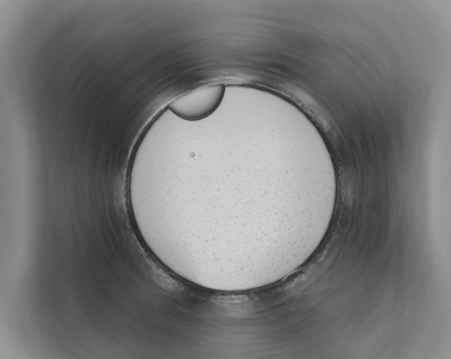 X0000110861186200907161350