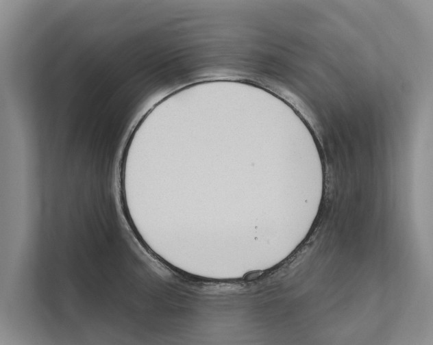 X0000110861187200907161350