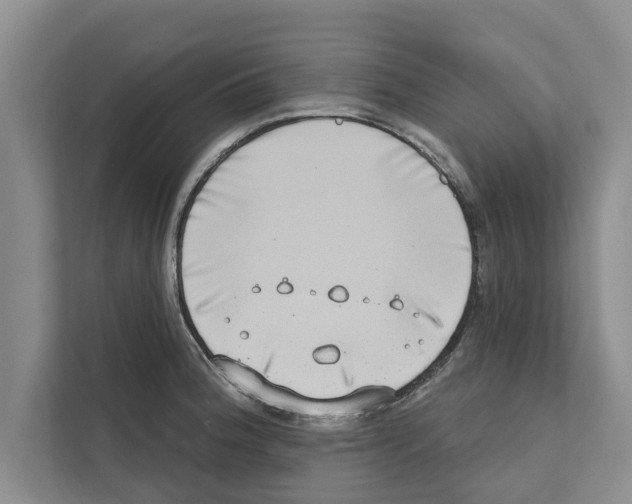 X0000110861188200907161350