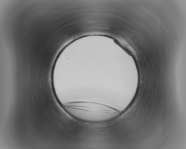 X0000110861189200907161350