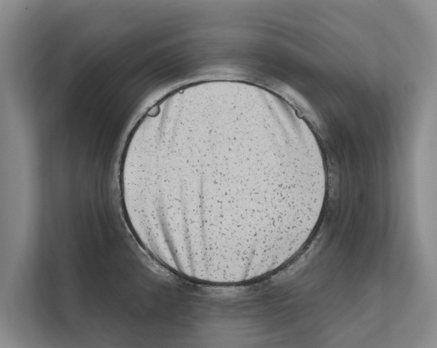 X0000110861192200907161350