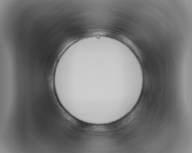 X0000110861194200907161350