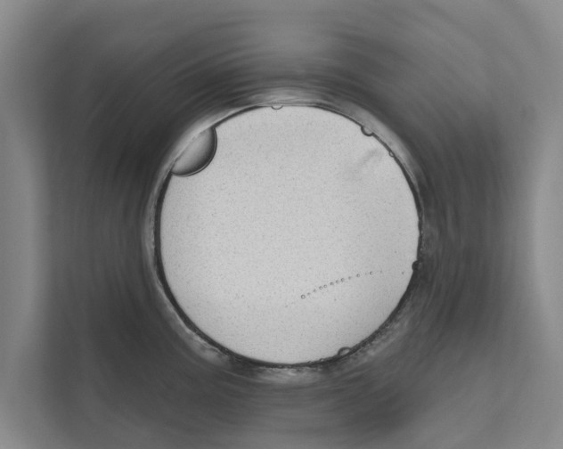X0000110861195200907161350