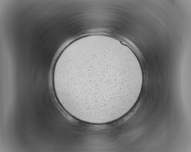 X0000110861196200907161350