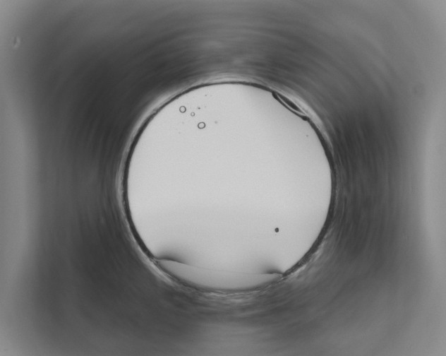 X0000110861197200907161350