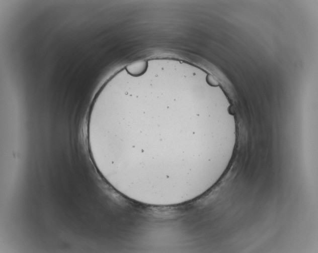 X0000110861198200907161350
